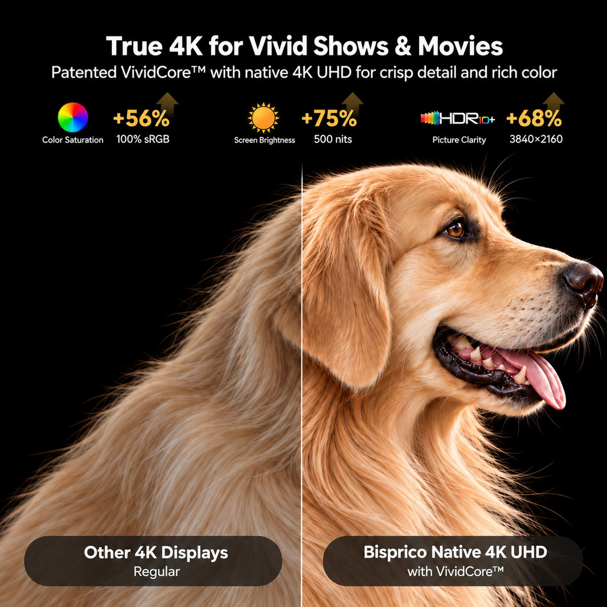 Bisprico JUNA 3 Pro — True 4K display with VividCore color